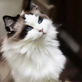 BEAUTIFUL, WILLOW.
